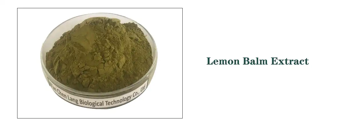 Lemon Balm Extract Powder.jpg